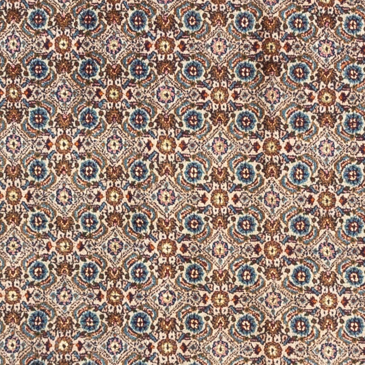 Persisk tæppe - Classic - 240 x 170 cm - beige
