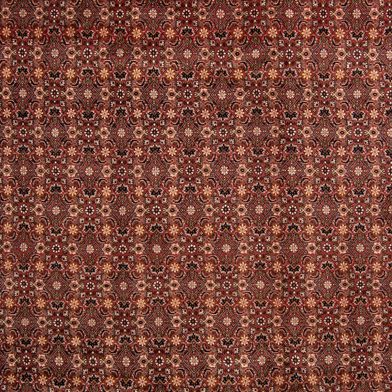 Persisk tæppe - Bijar - 352 x 252 cm - brun