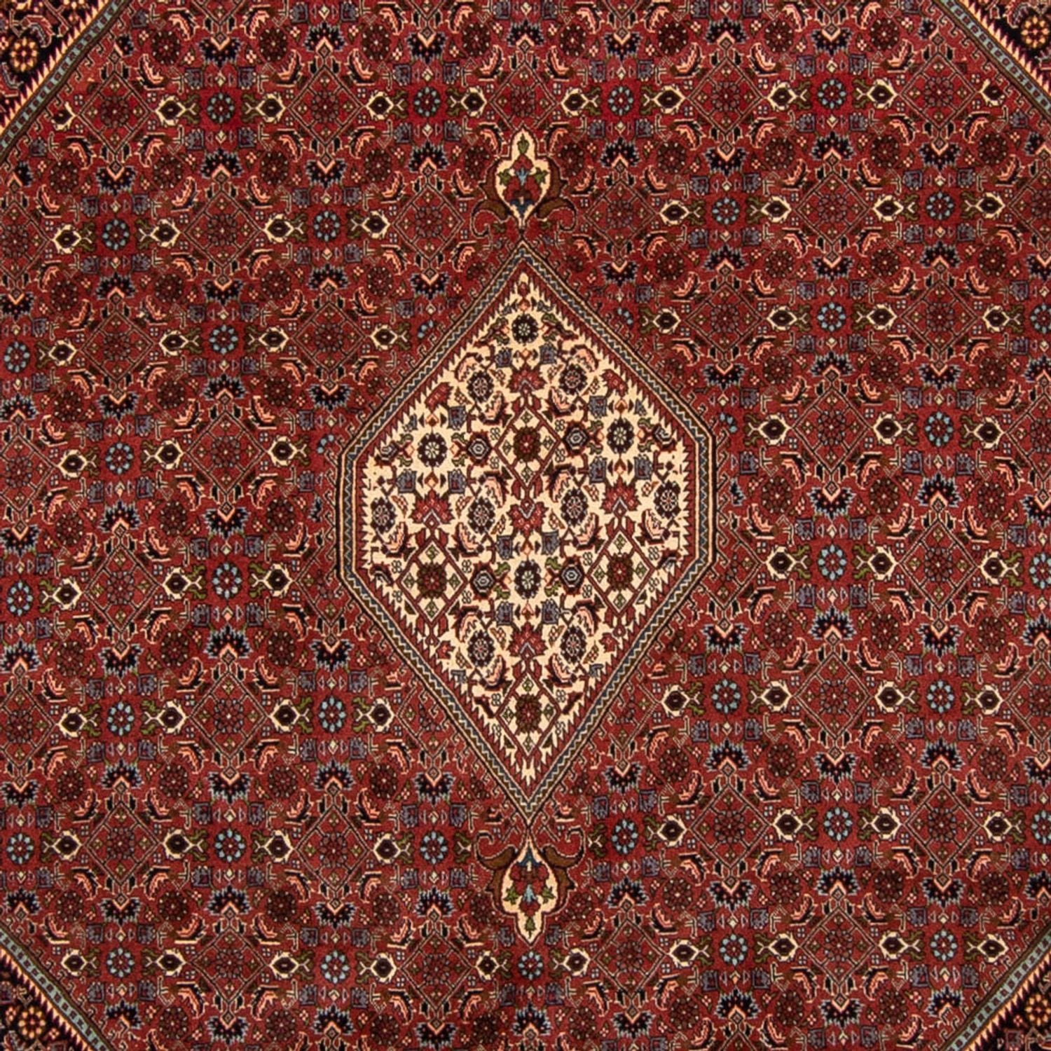 Persisk tæppe - Bijar - 329 x 255 cm - brun