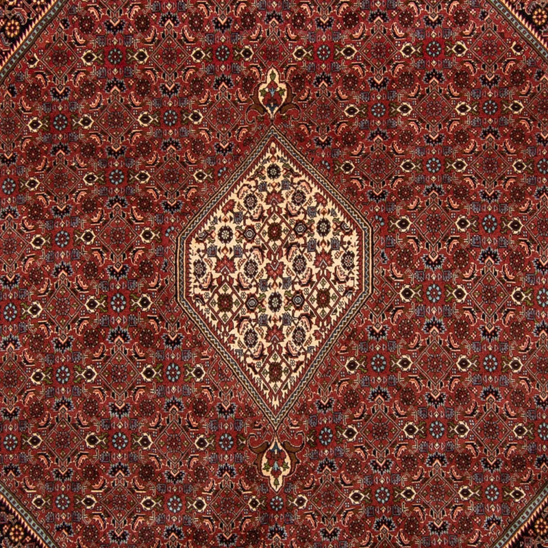 Persisk tæppe - Bijar - 329 x 255 cm - brun
