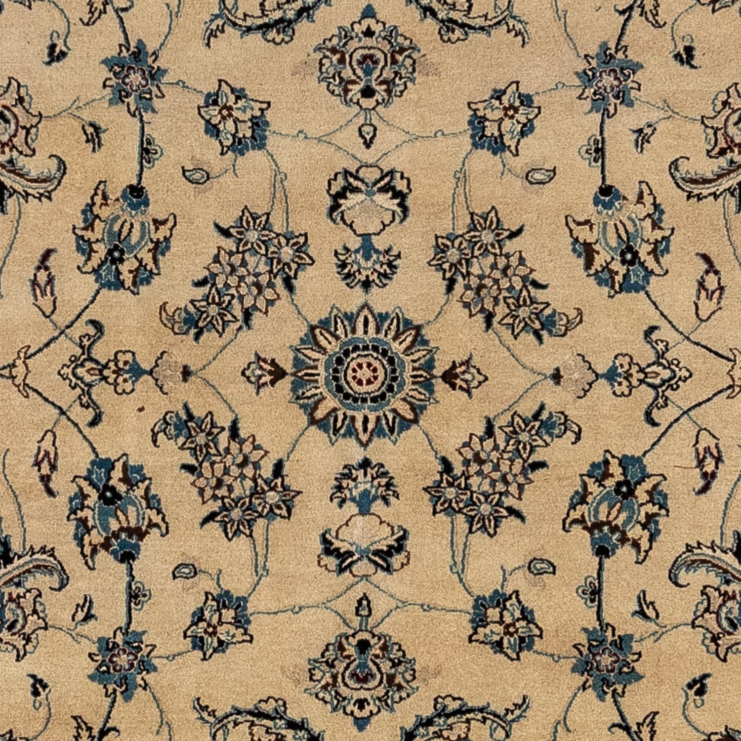 Persisk tæppe - Nain - Royal - 354 x 248 cm - mørk beige