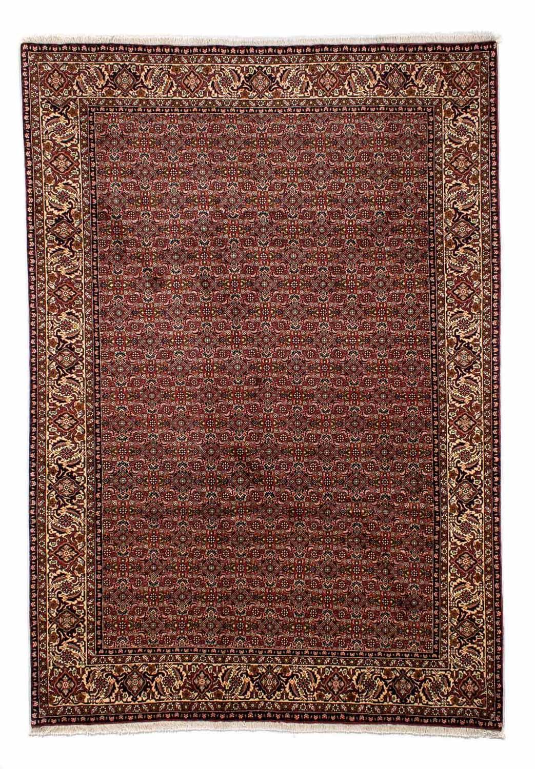 Persisk tæppe - Bijar - 298 x 202 cm - brun