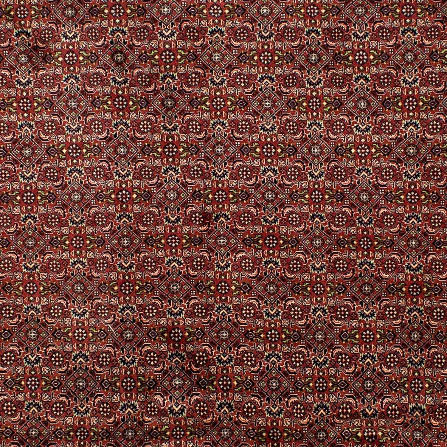 Persisk tæppe - Bijar - 298 x 202 cm - brun
