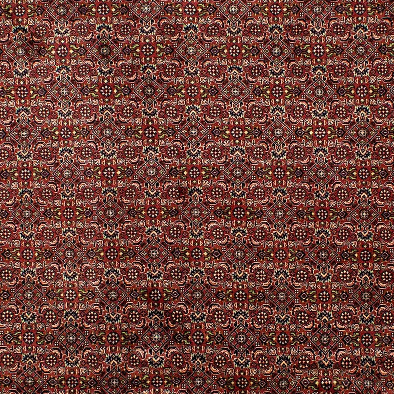 Persisk tæppe - Bijar - 298 x 202 cm - brun