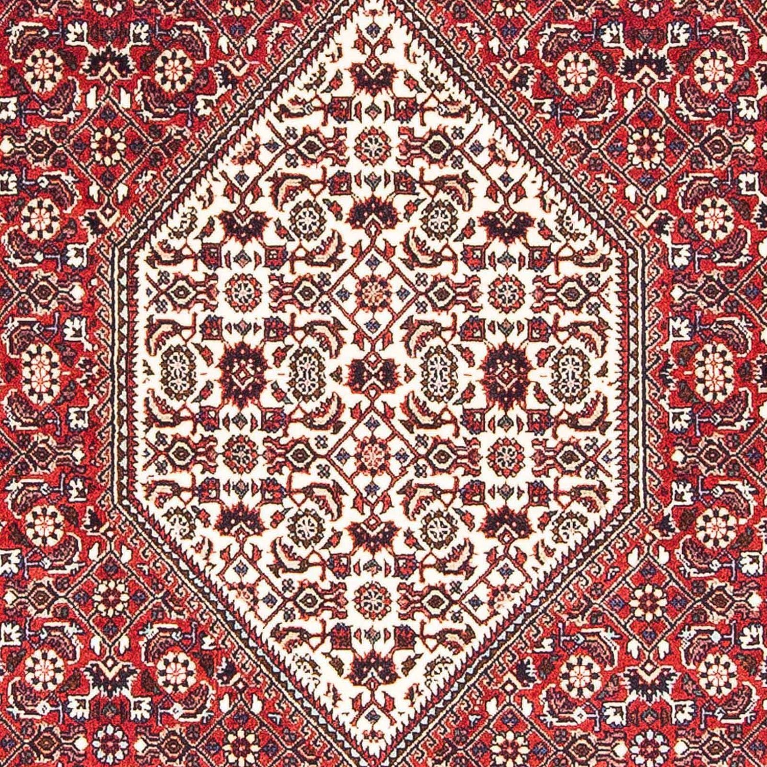 Persisk tæppe - Bijar - 172 x 110 cm - lysrød