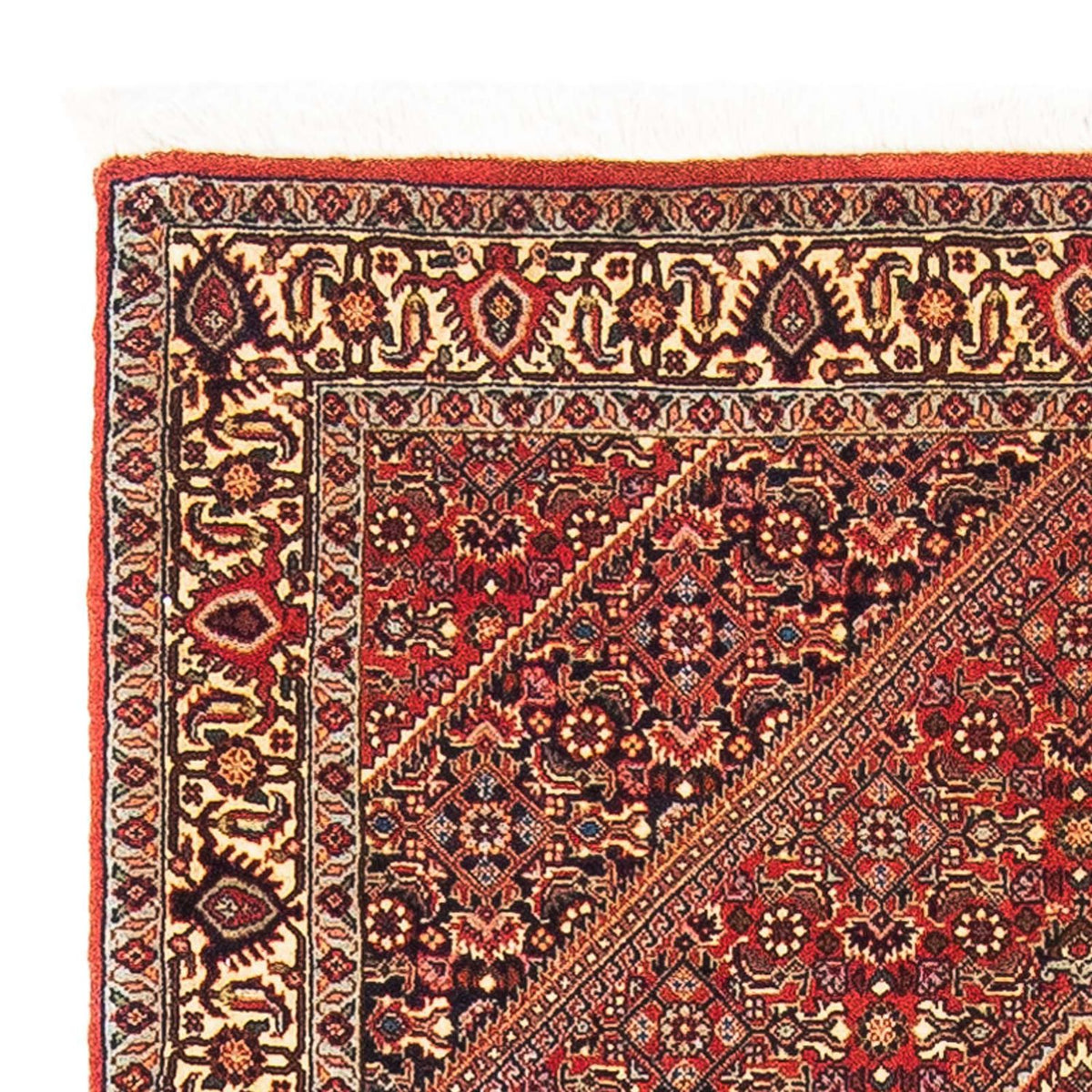 Persisk tæppe - Bijar - 153 x 89 cm - rød