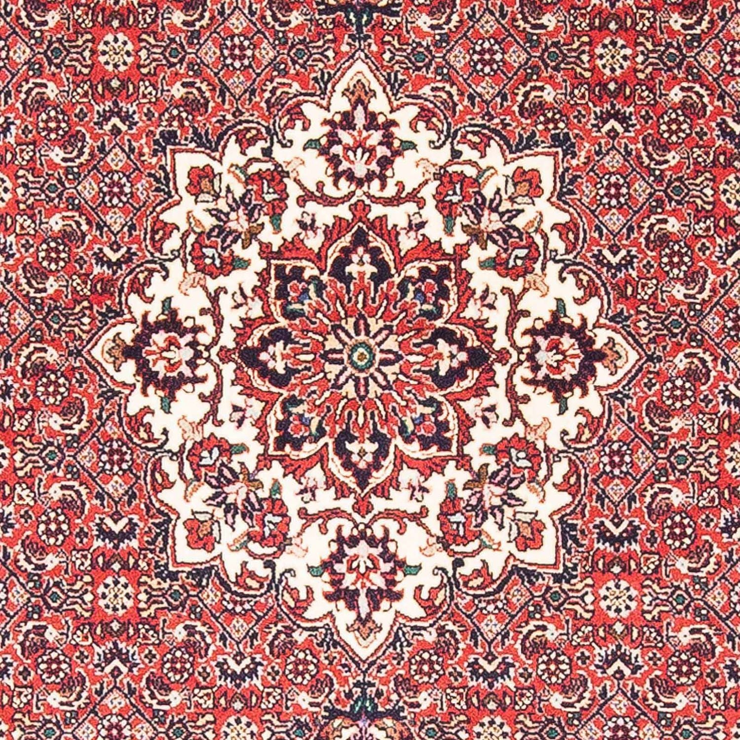 Persisk tæppe - Bijar - 148 x 91 cm - rød