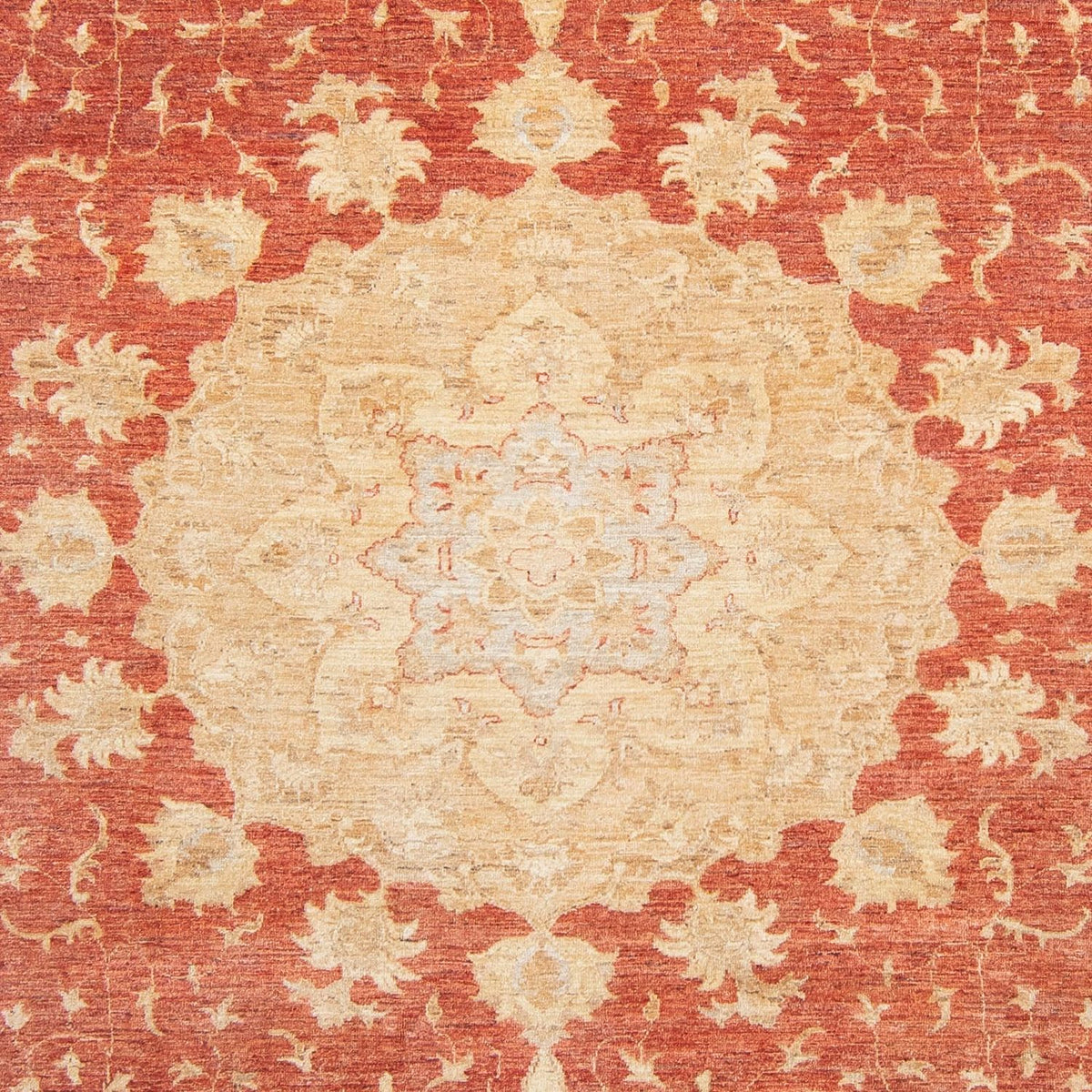 Ziegler Carpet - 355 x 271 cm - lysrød