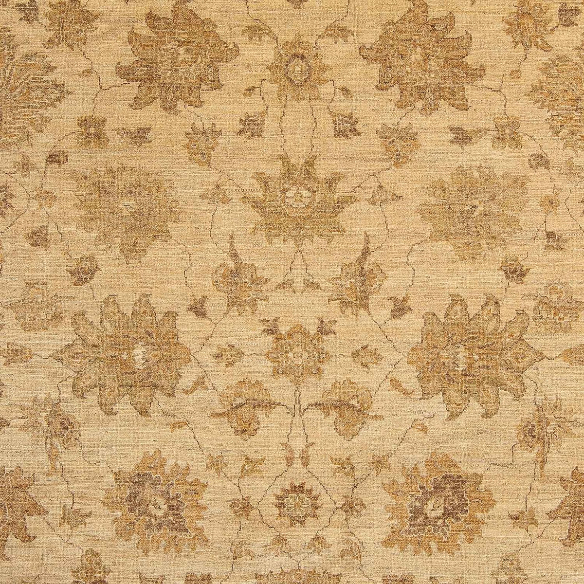 Ziegler Carpet - 317 x 236 cm - lys brun