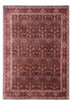 Bidjar - Takab Tæppe 342x256cm - Persisk tæppe