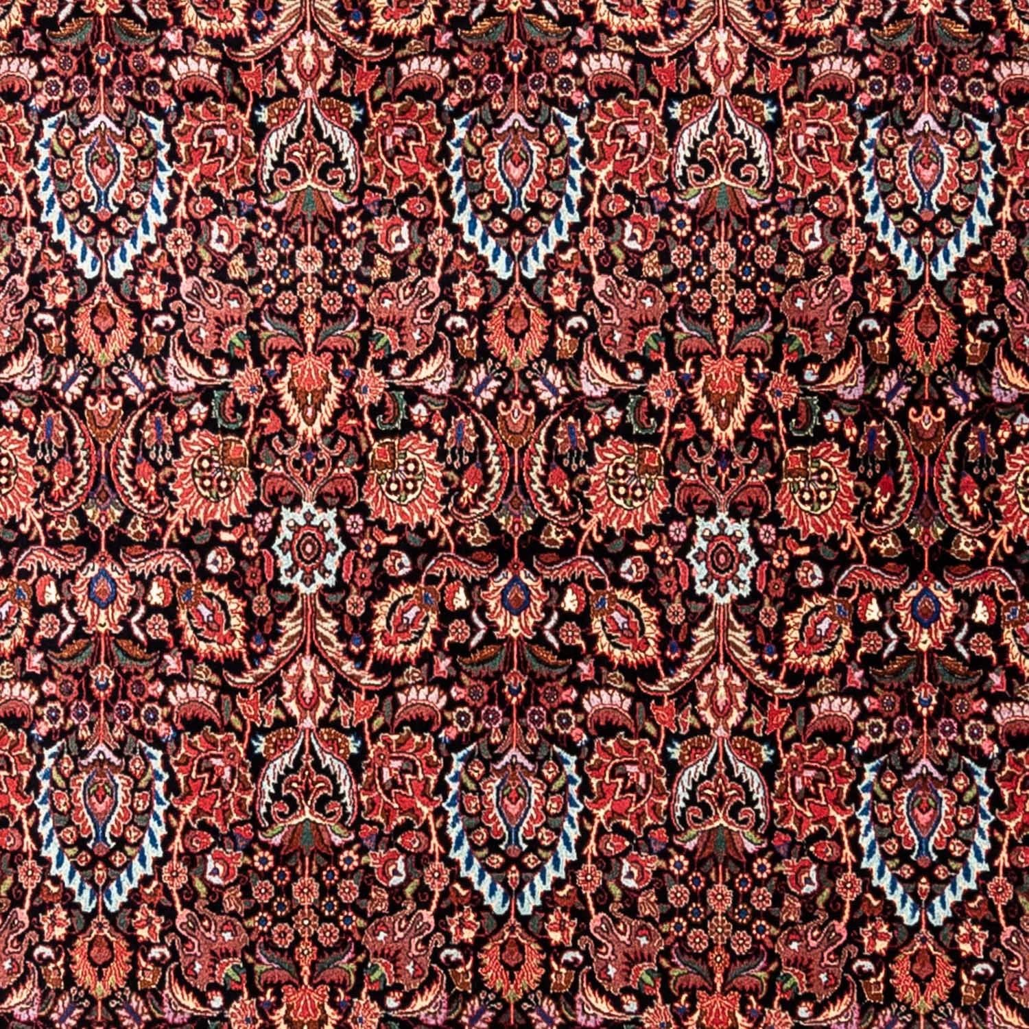 Persisk tæppe - Bijar - Royal - 342 x 256 cm - mørkeblå