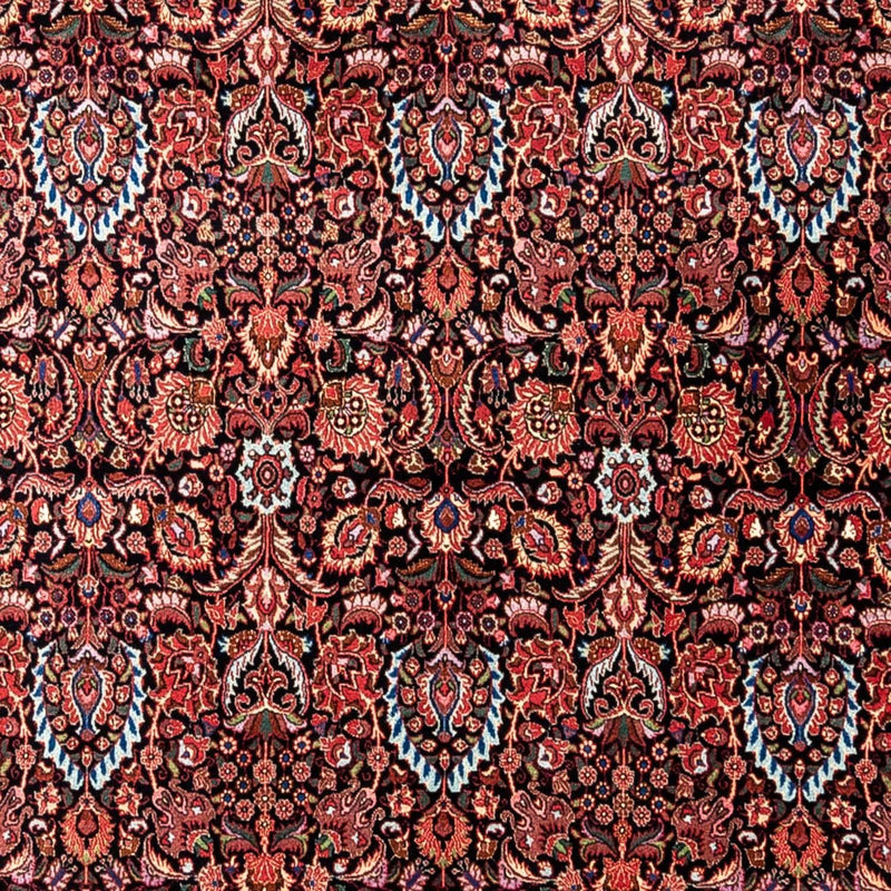 Persisk tæppe - Bijar - Royal - 342 x 256 cm - mørkeblå