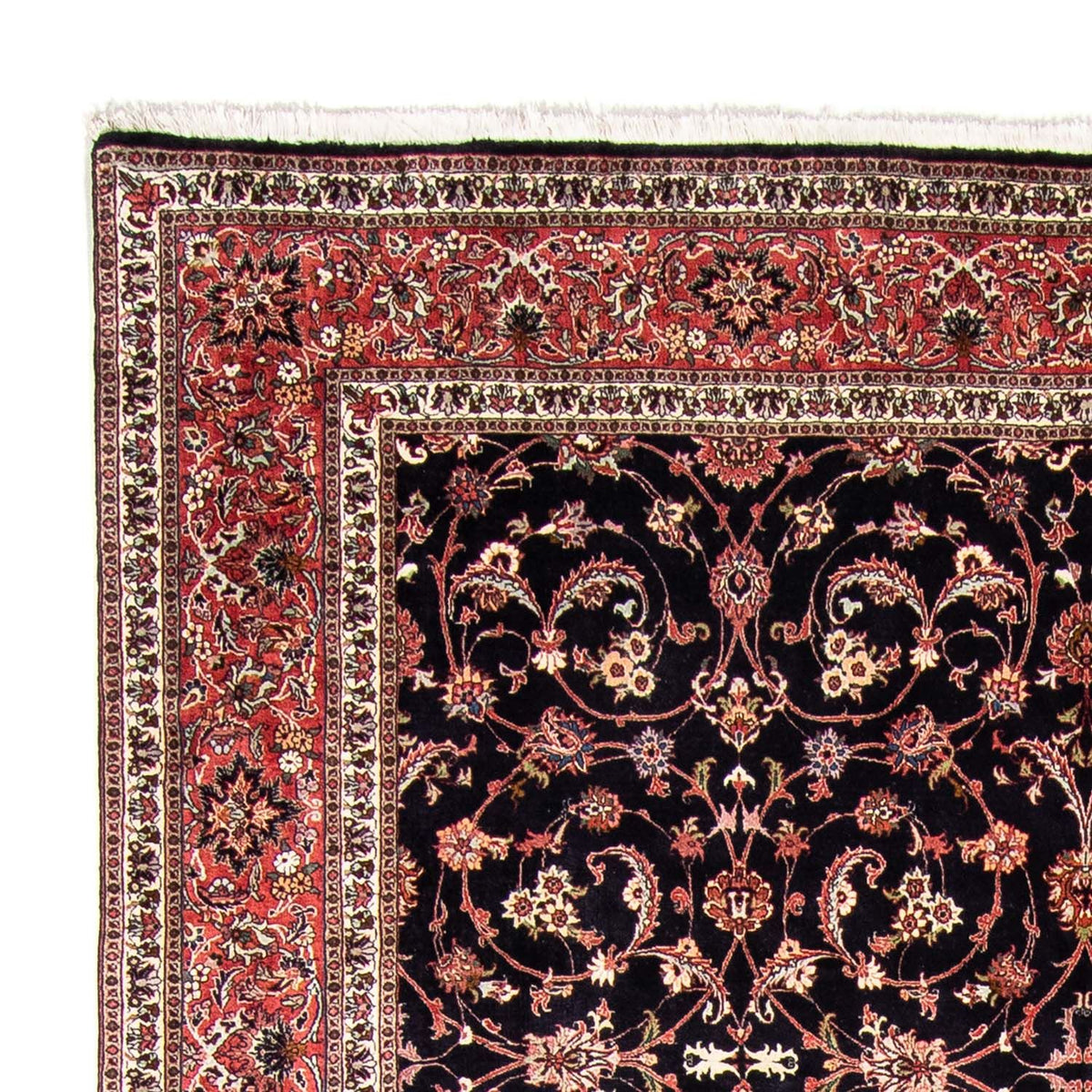 Persisk tæppe - Bijar - 350 x 257 cm - mørkeblå