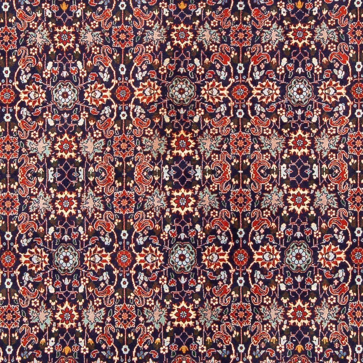 Persisk tæppe - Bijar - 247 x 163 cm - mørkeblå
