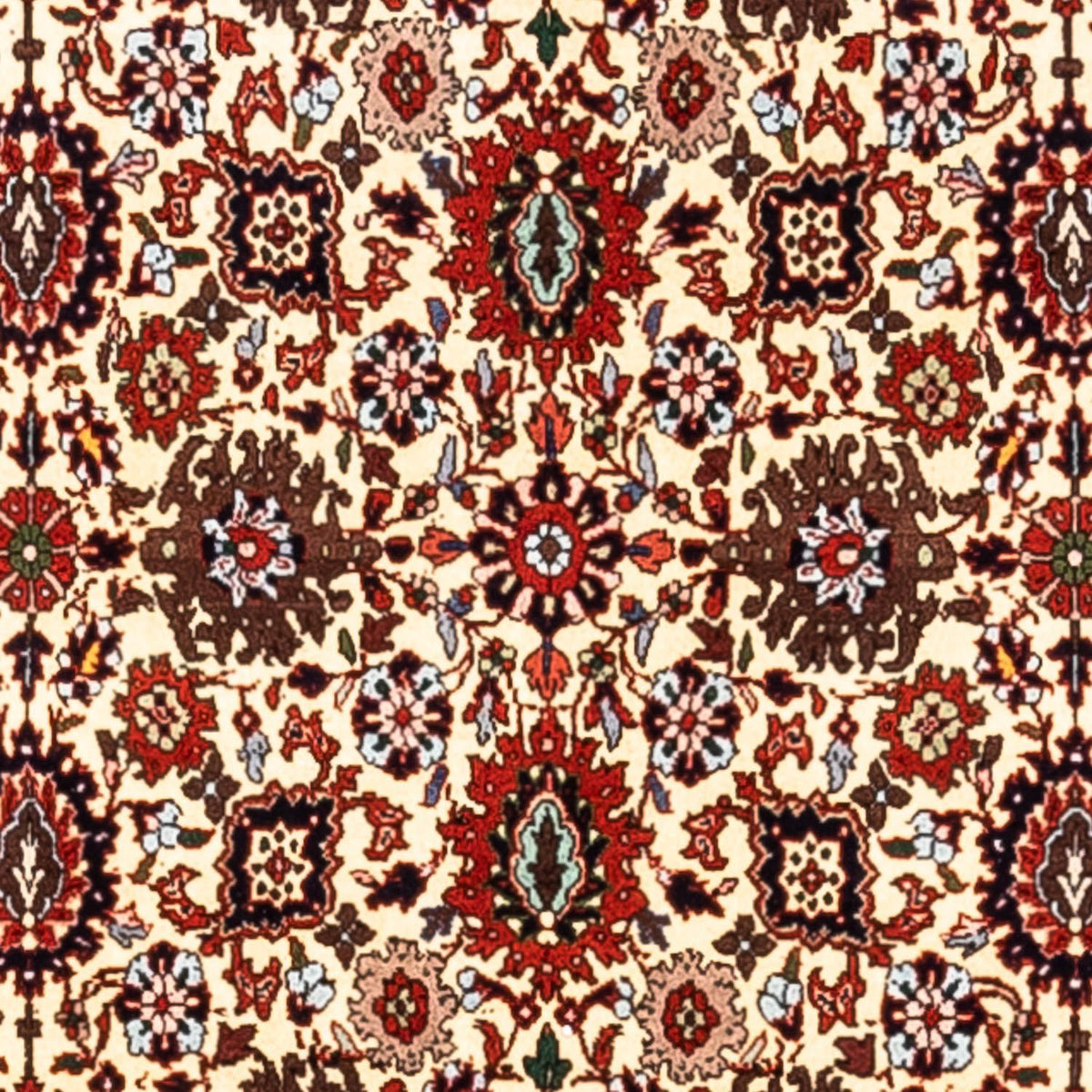 Persisk tæppe - Bijar - Royal - 356 x 252 cm - beige