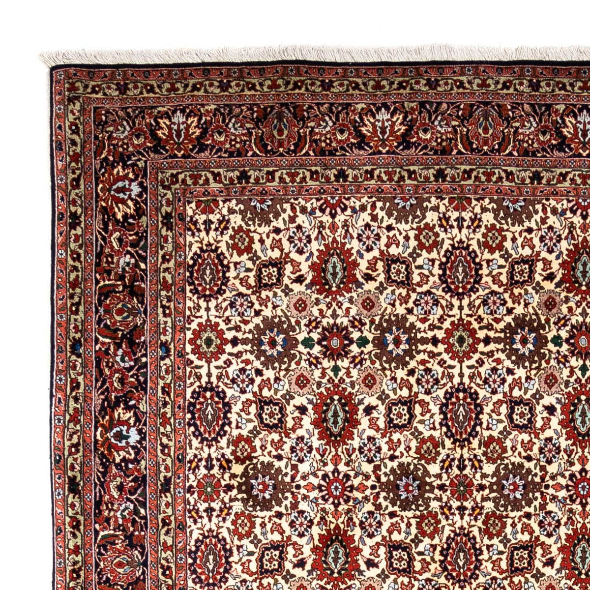 Persisk tæppe - Bijar - Royal - 356 x 252 cm - beige