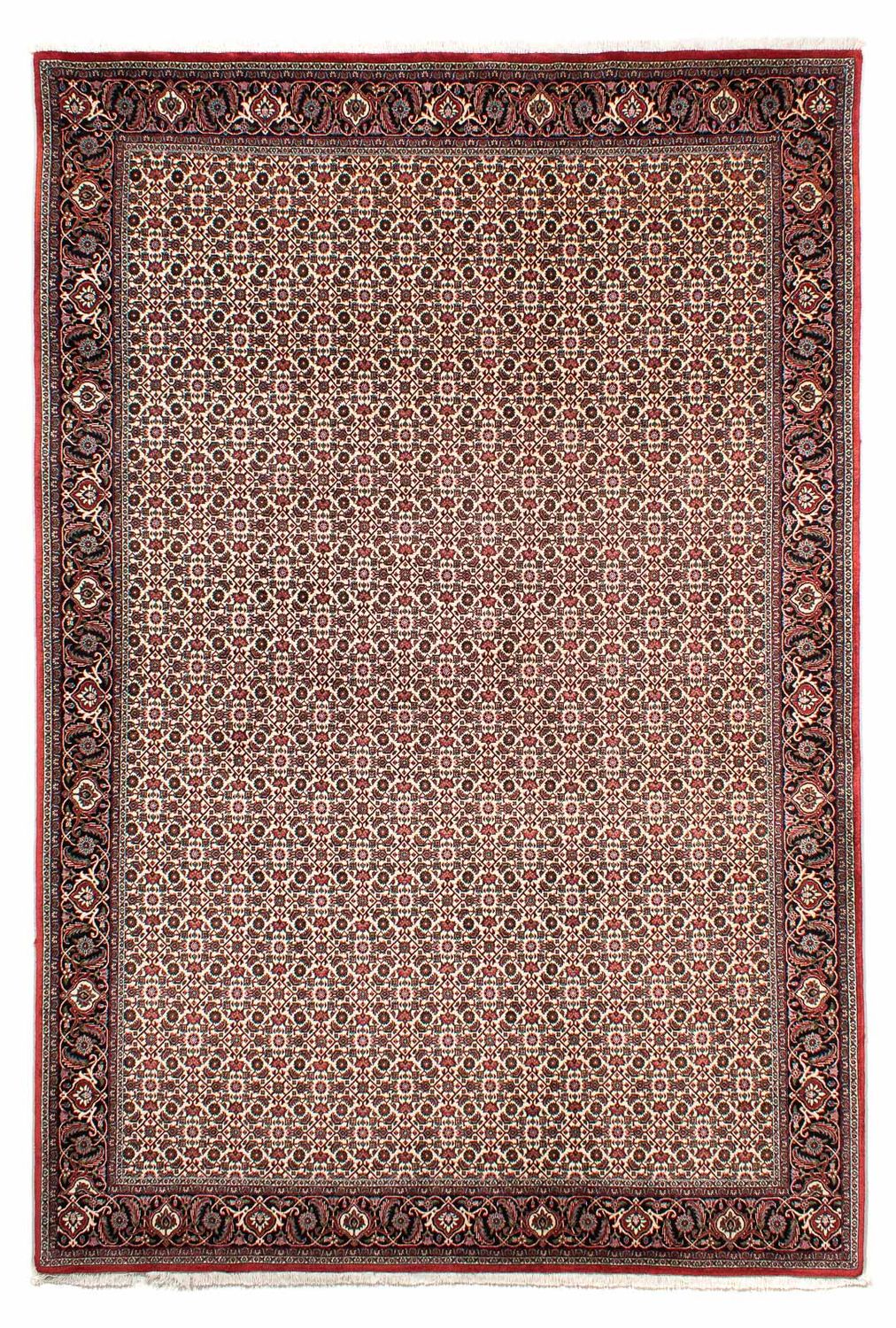 Persisk tæppe - Bijar - 294 x 200 cm - beige