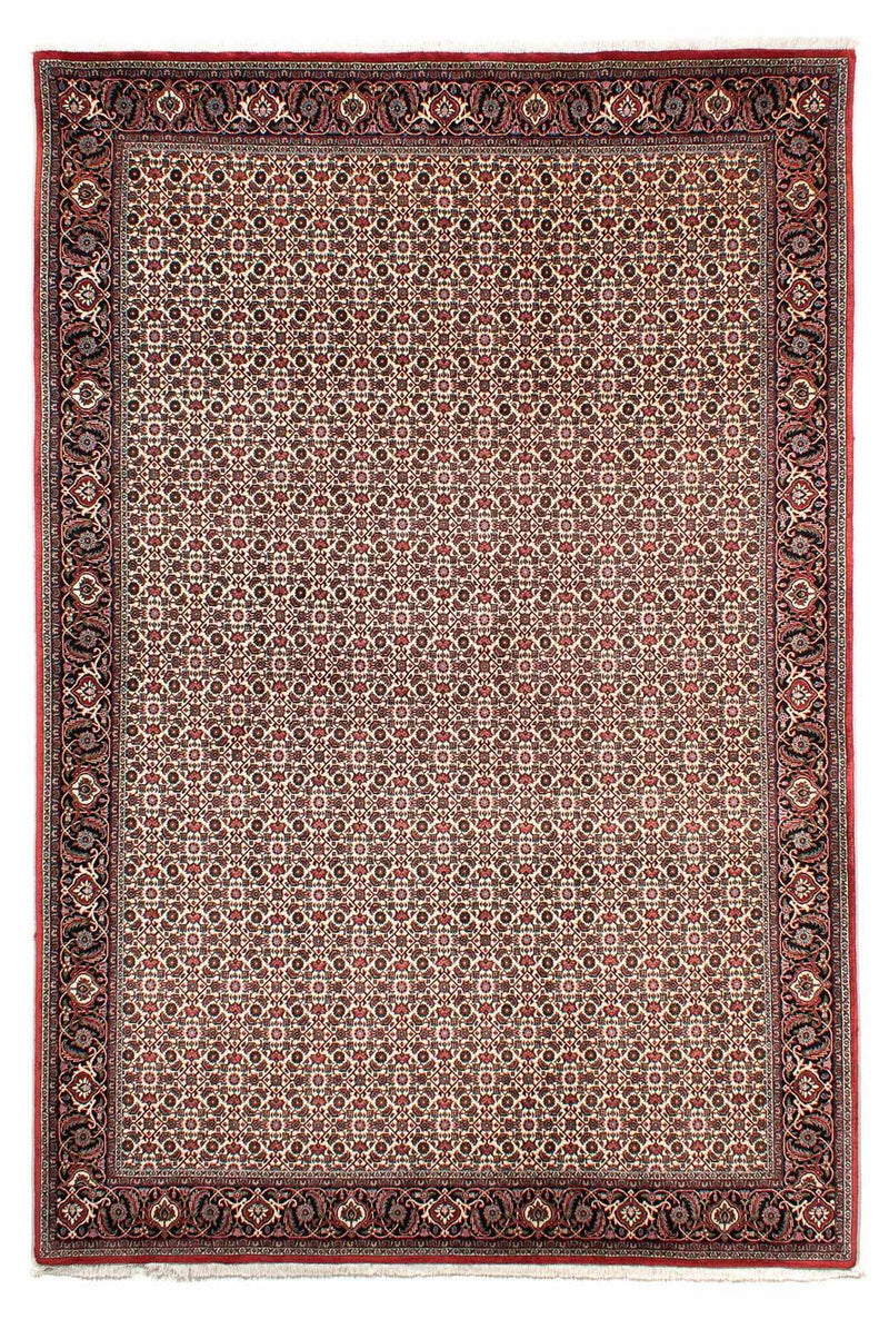 Persisk tæppe - Bijar - 294 x 200 cm - beige
