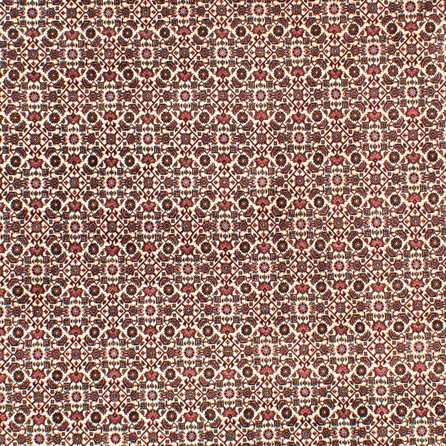 Persisk tæppe - Bijar - 294 x 200 cm - beige