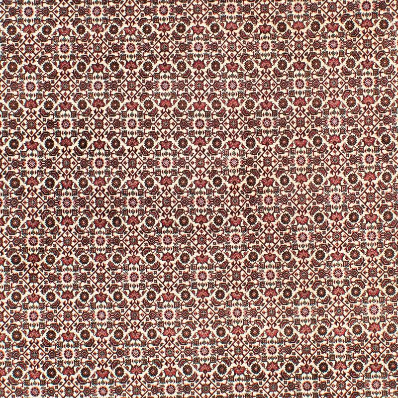 Persisk tæppe - Bijar - 294 x 200 cm - beige