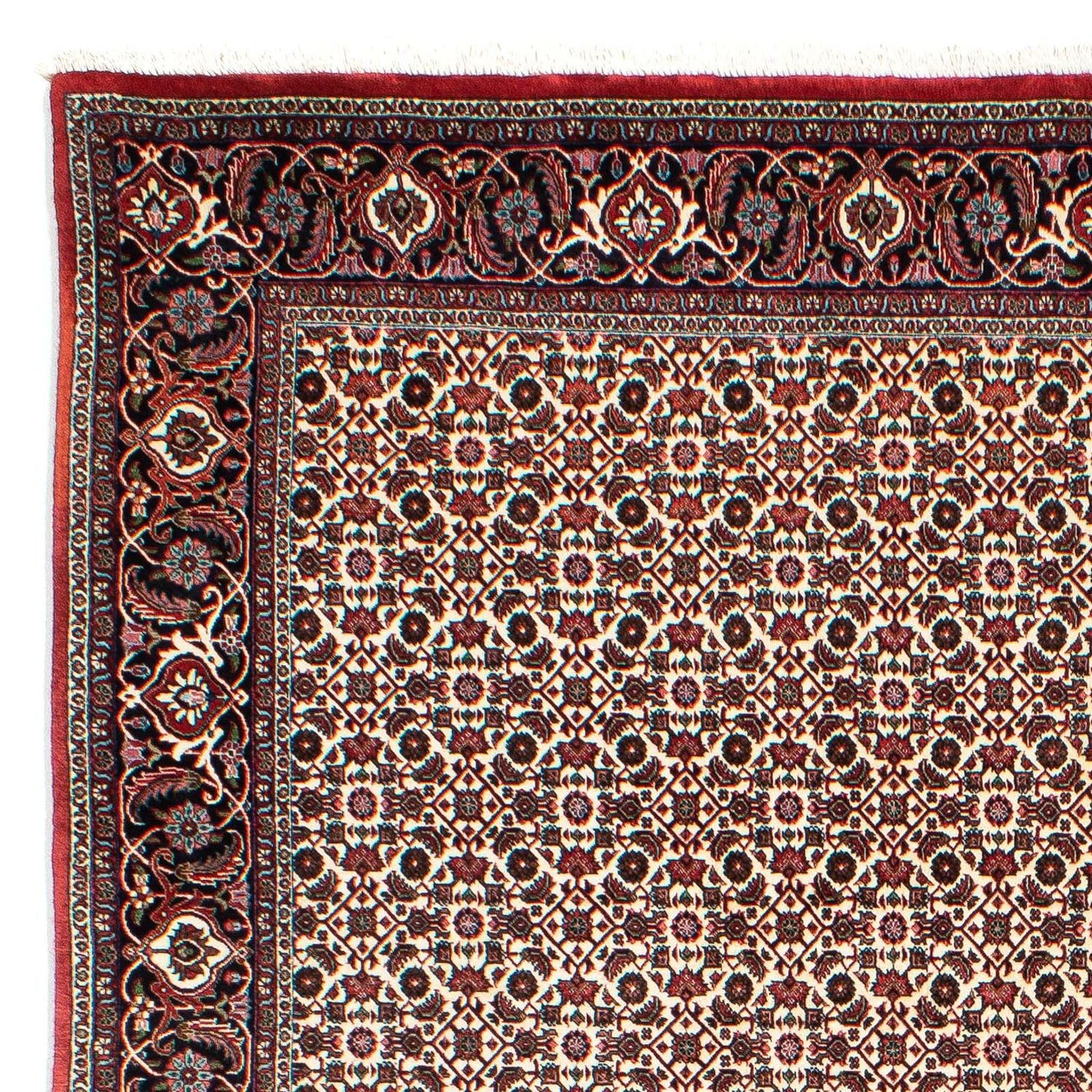 Persisk tæppe - Bijar - 294 x 200 cm - beige