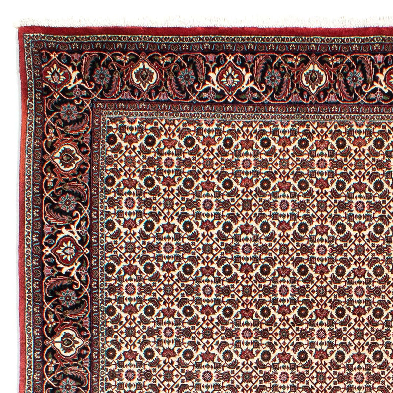 Persisk tæppe - Bijar - 294 x 200 cm - beige