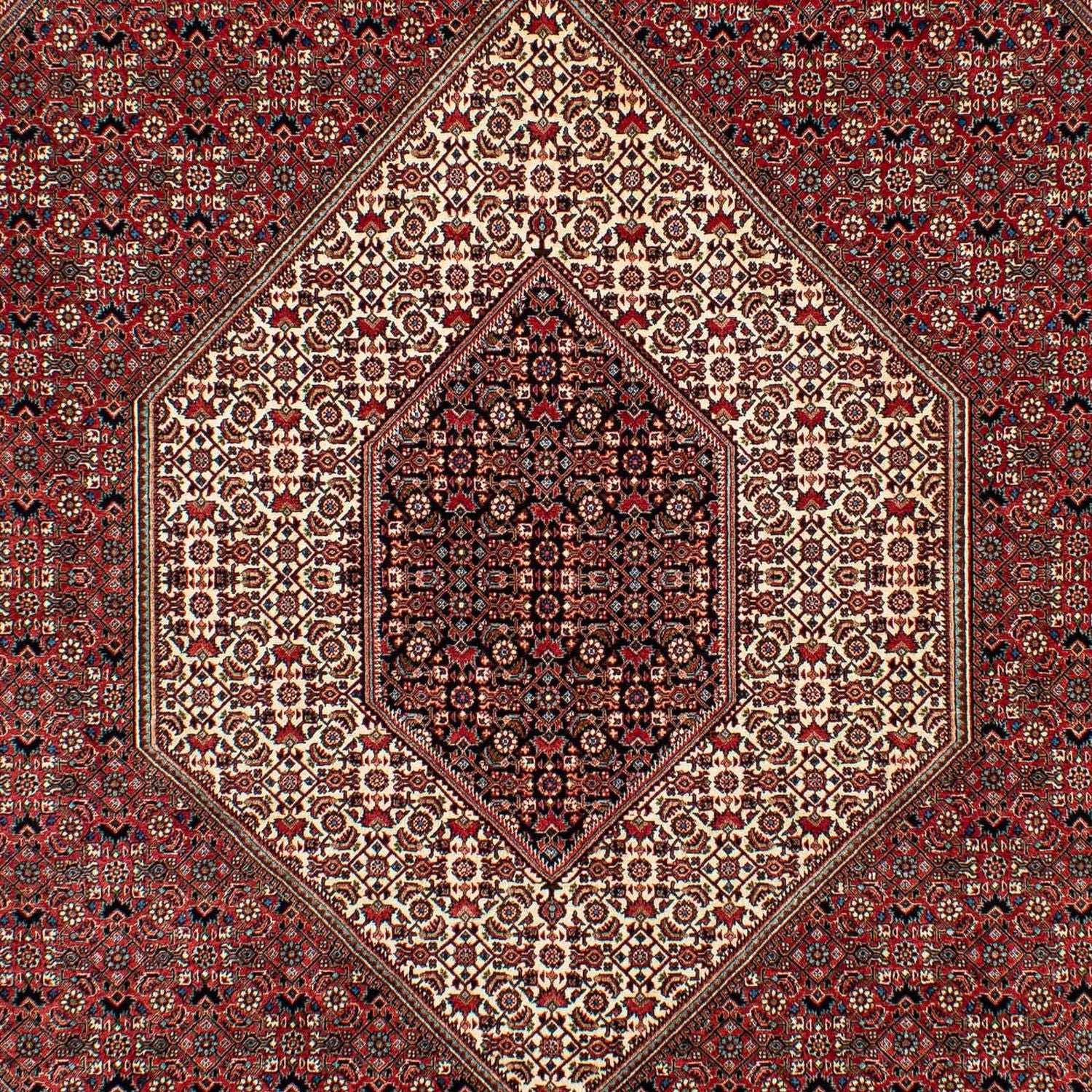 Persisk tæppe - Bijar - 305 x 203 cm - mørkerød