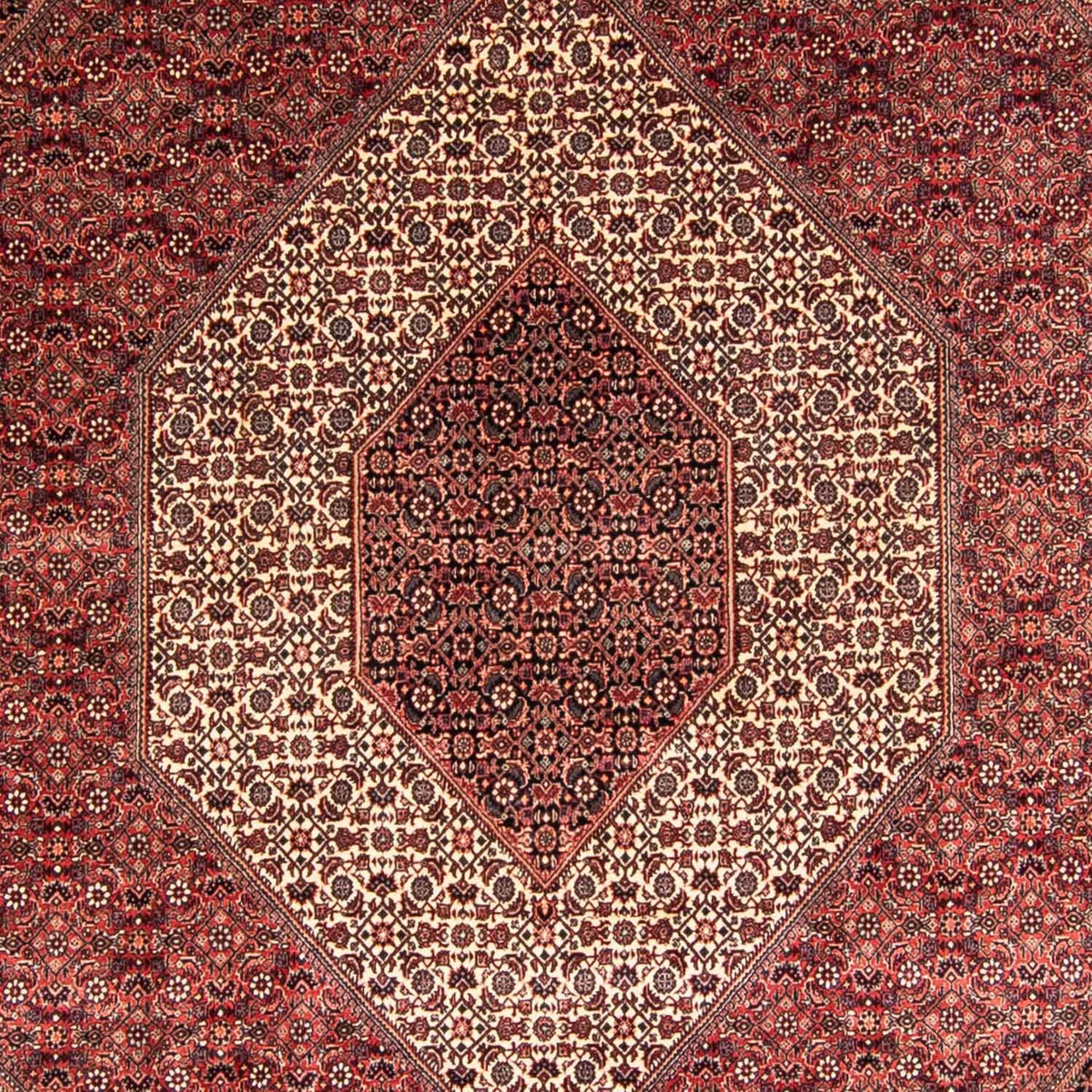 Persisk tæppe - Bijar - 340 x 252 cm - lysrød