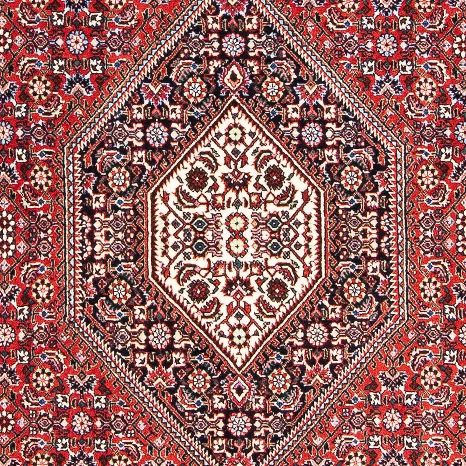 Persisk tæppe - Bijar - 173 x 111 cm - lysrød