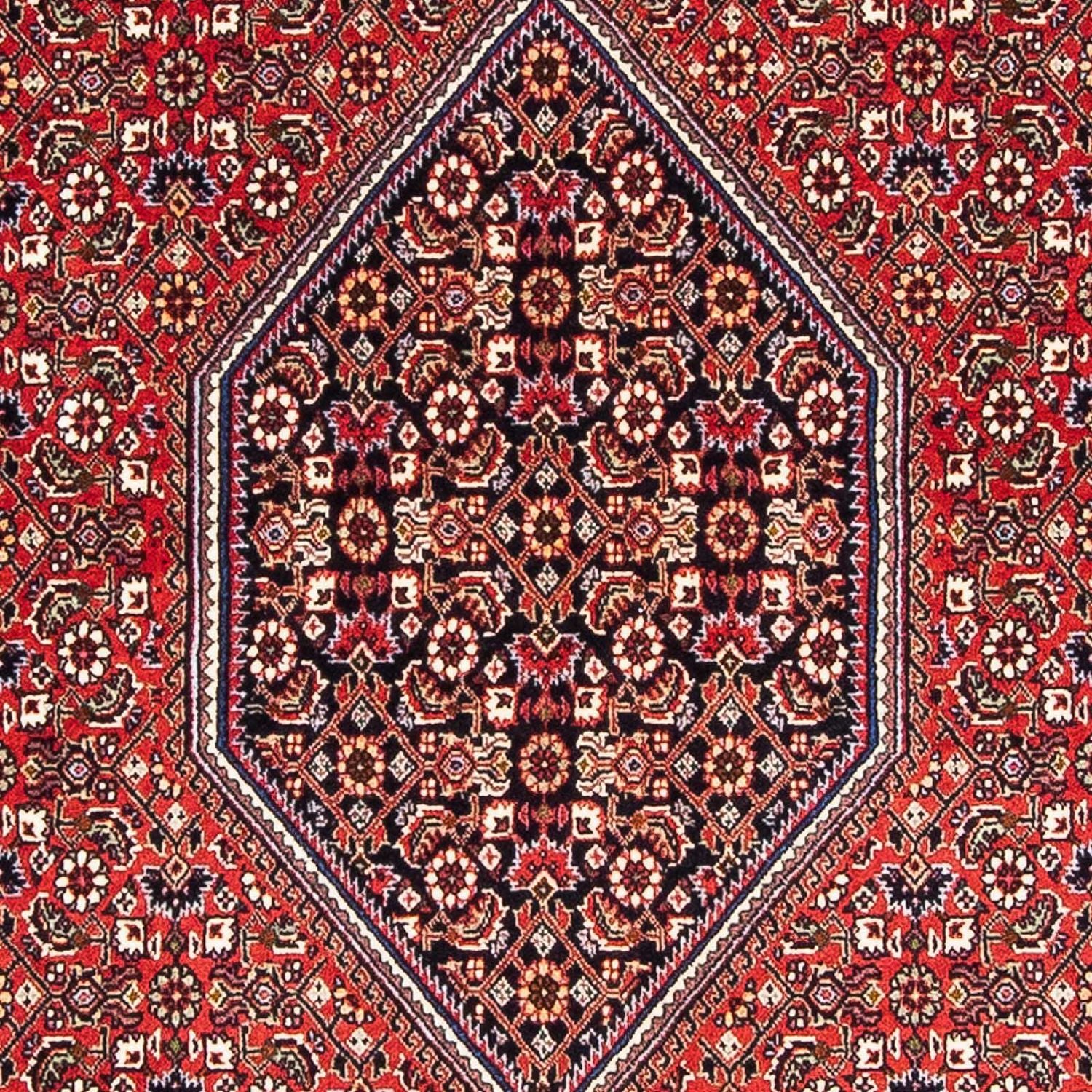Persisk tæppe - Bijar - 183 x 110 cm - lysrød