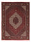 Persisk tæppe - Bijar - 245 x 172 cm - mørkerød