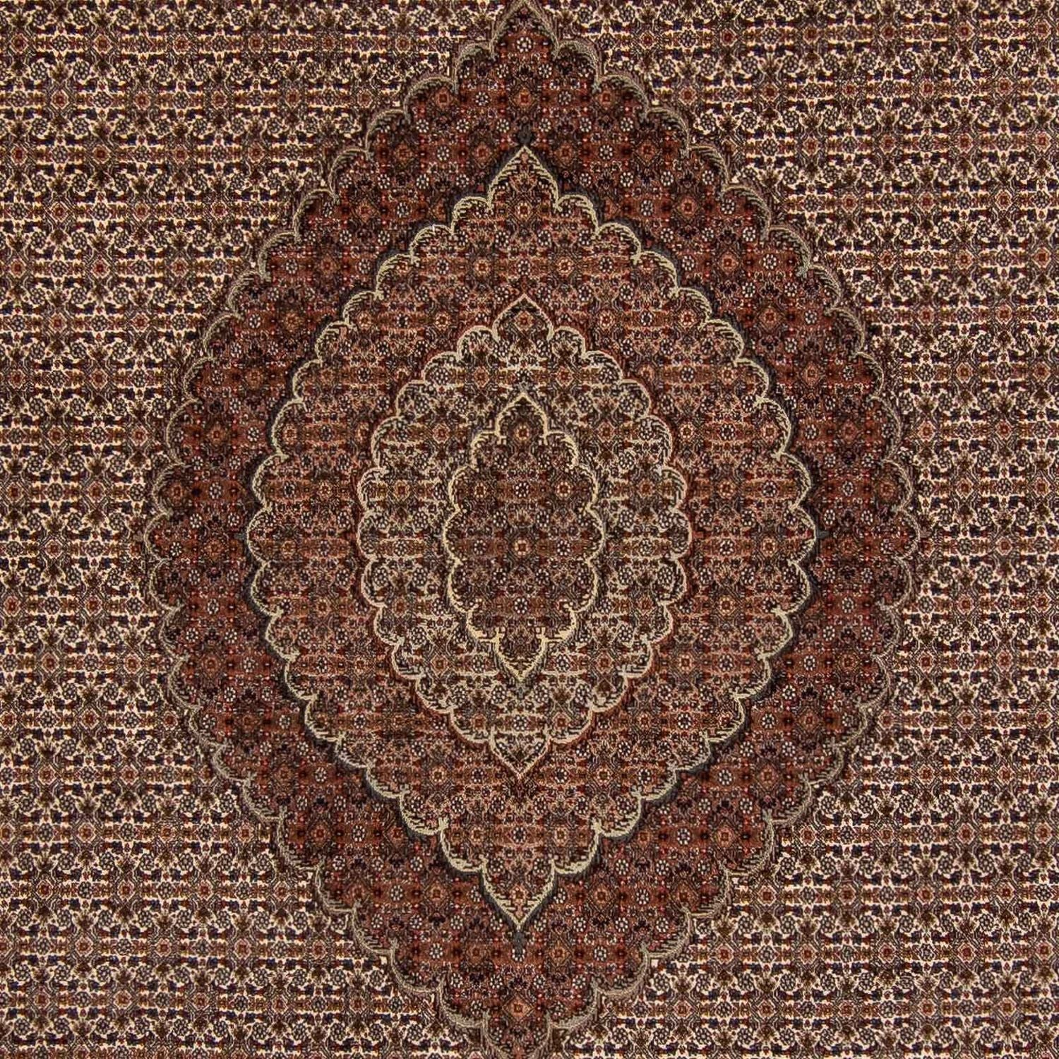 Persisk tæppe - Tabriz - 353 x 245 cm - brun