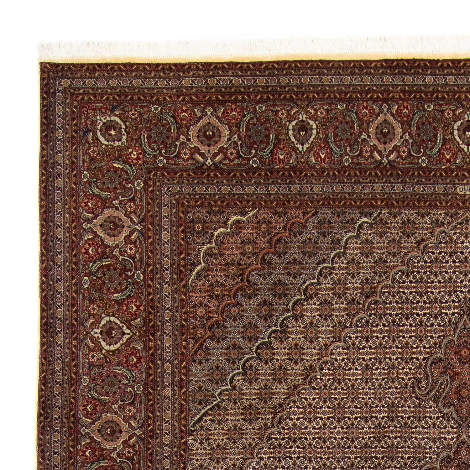 Persisk tæppe - Tabriz - 353 x 245 cm - brun