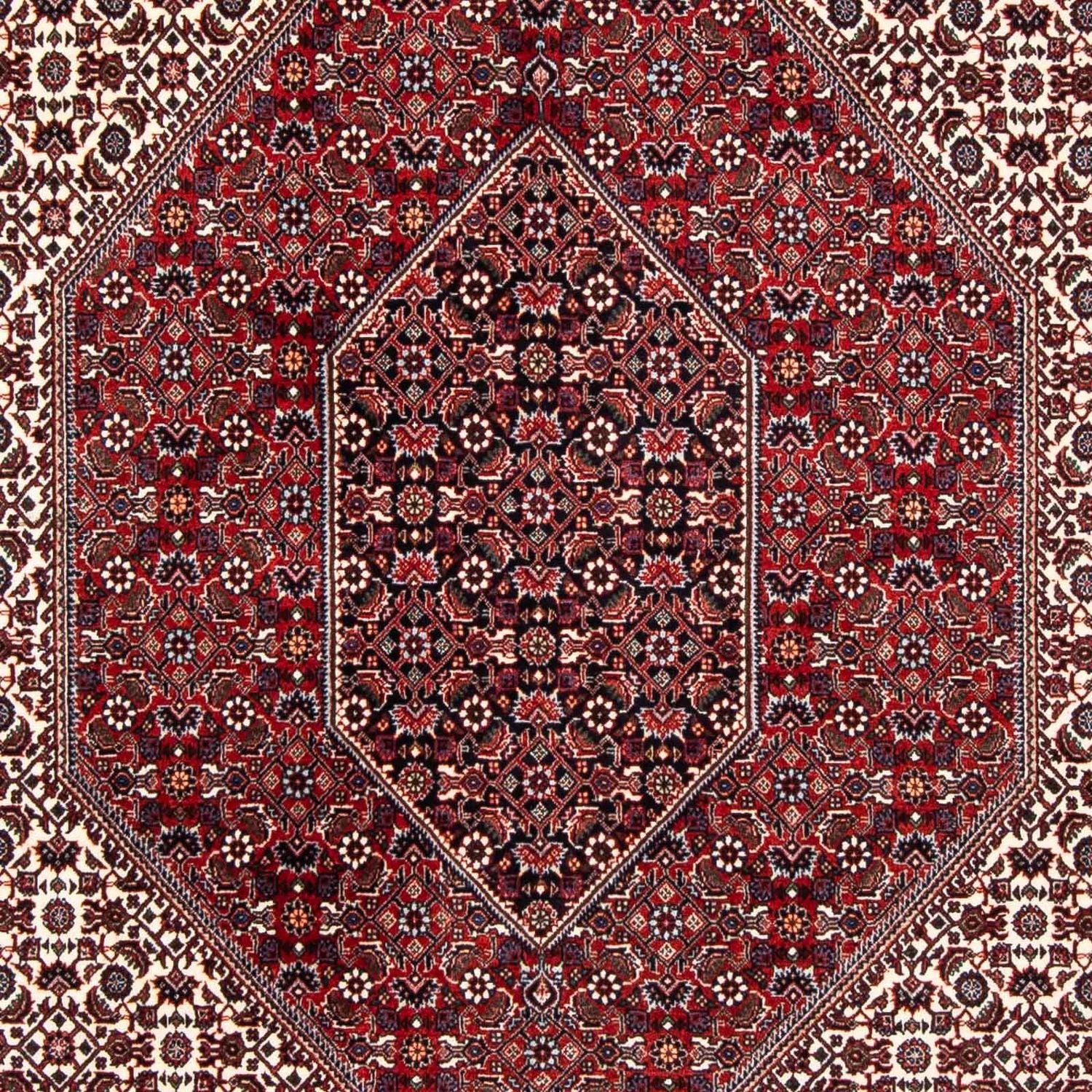 Persisk tæppe - Bijar - 241 x 170 cm - mørkerød