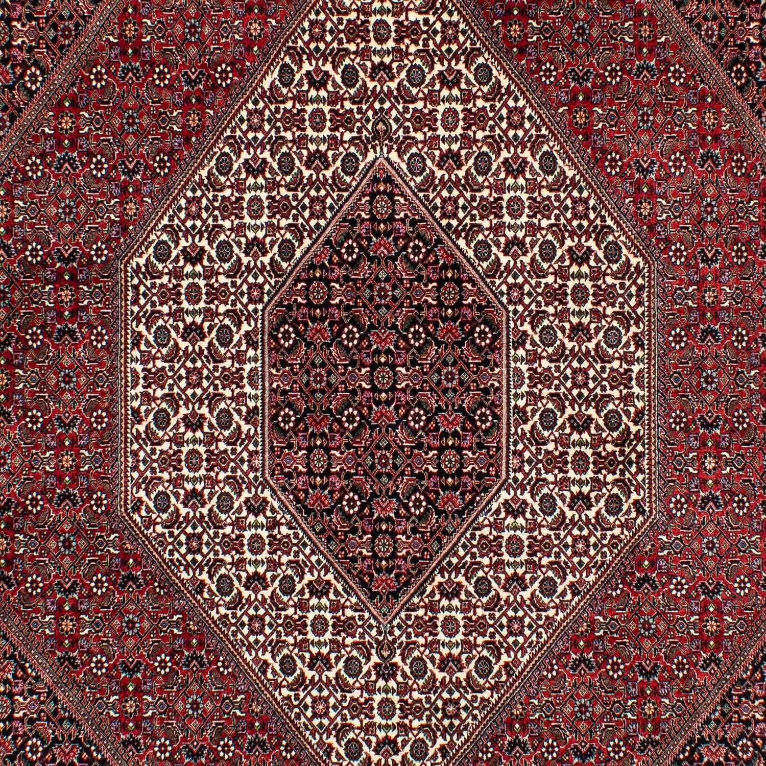 Persisk tæppe - Bijar - 305 x 203 cm - mørkerød