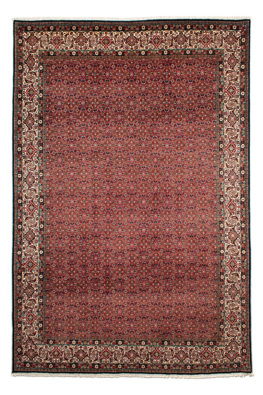 Persisk tæppe - Bijar - 307 x 208 cm - mørkerød