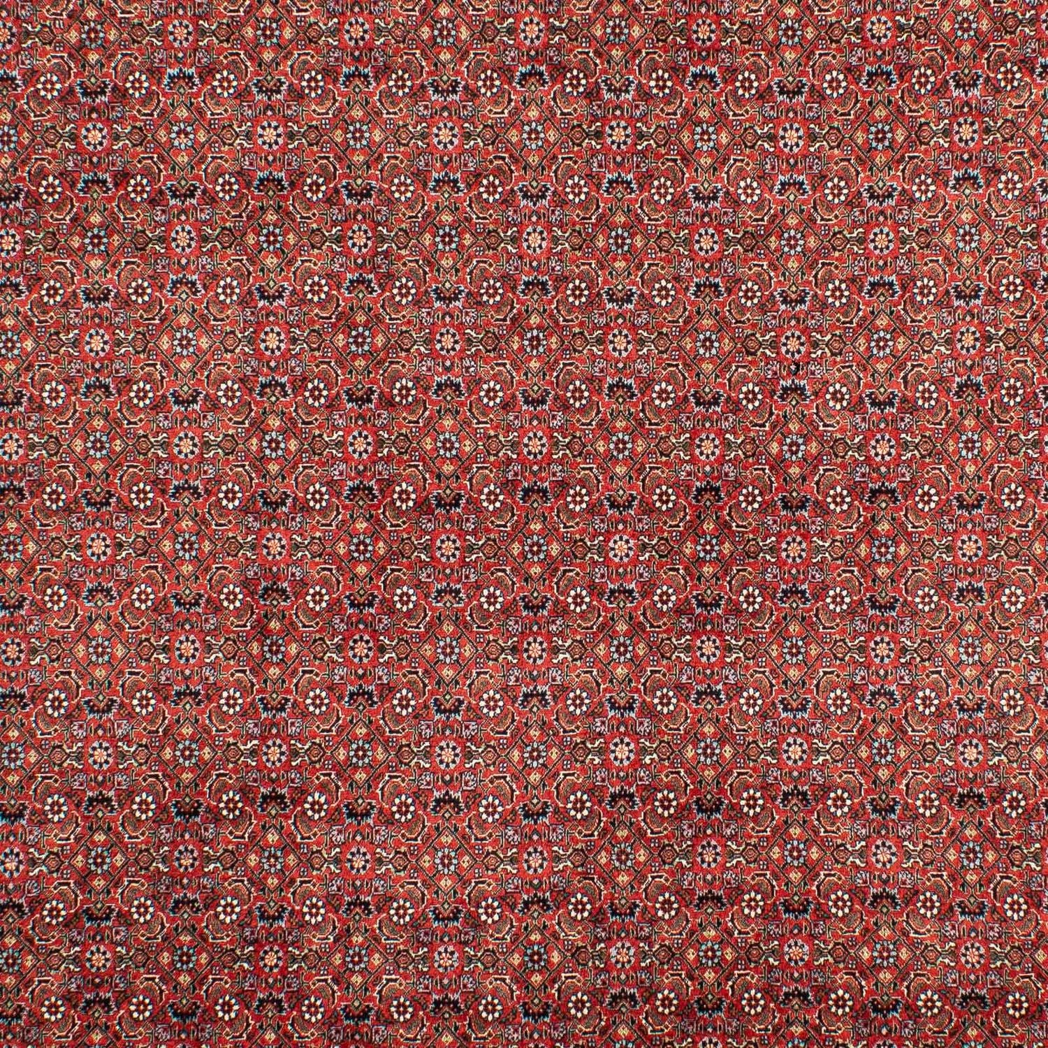 Persisk tæppe - Bijar - 307 x 208 cm - mørkerød