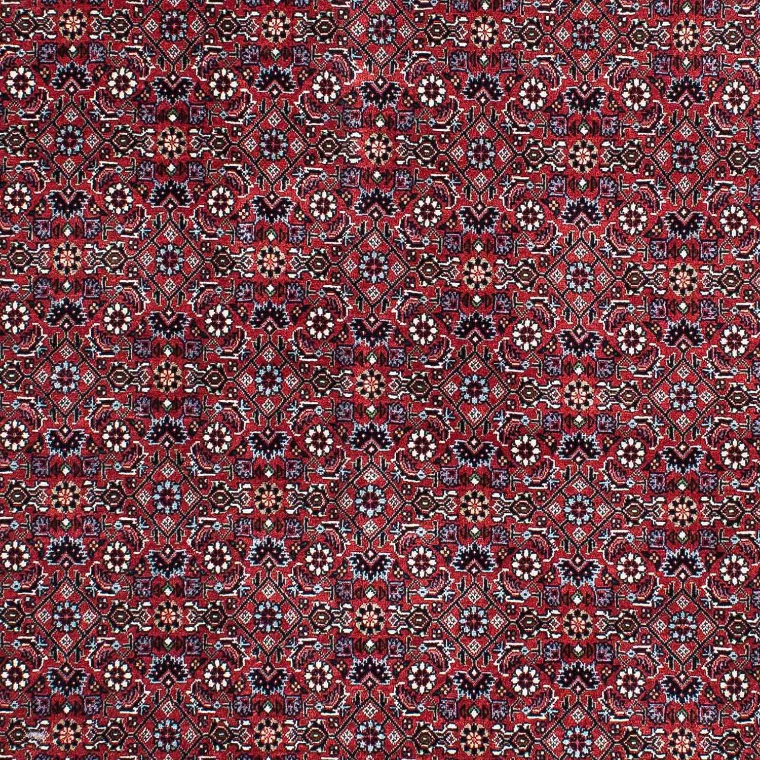 Persisk tæppe - Bijar - 202 x 132 cm - rød