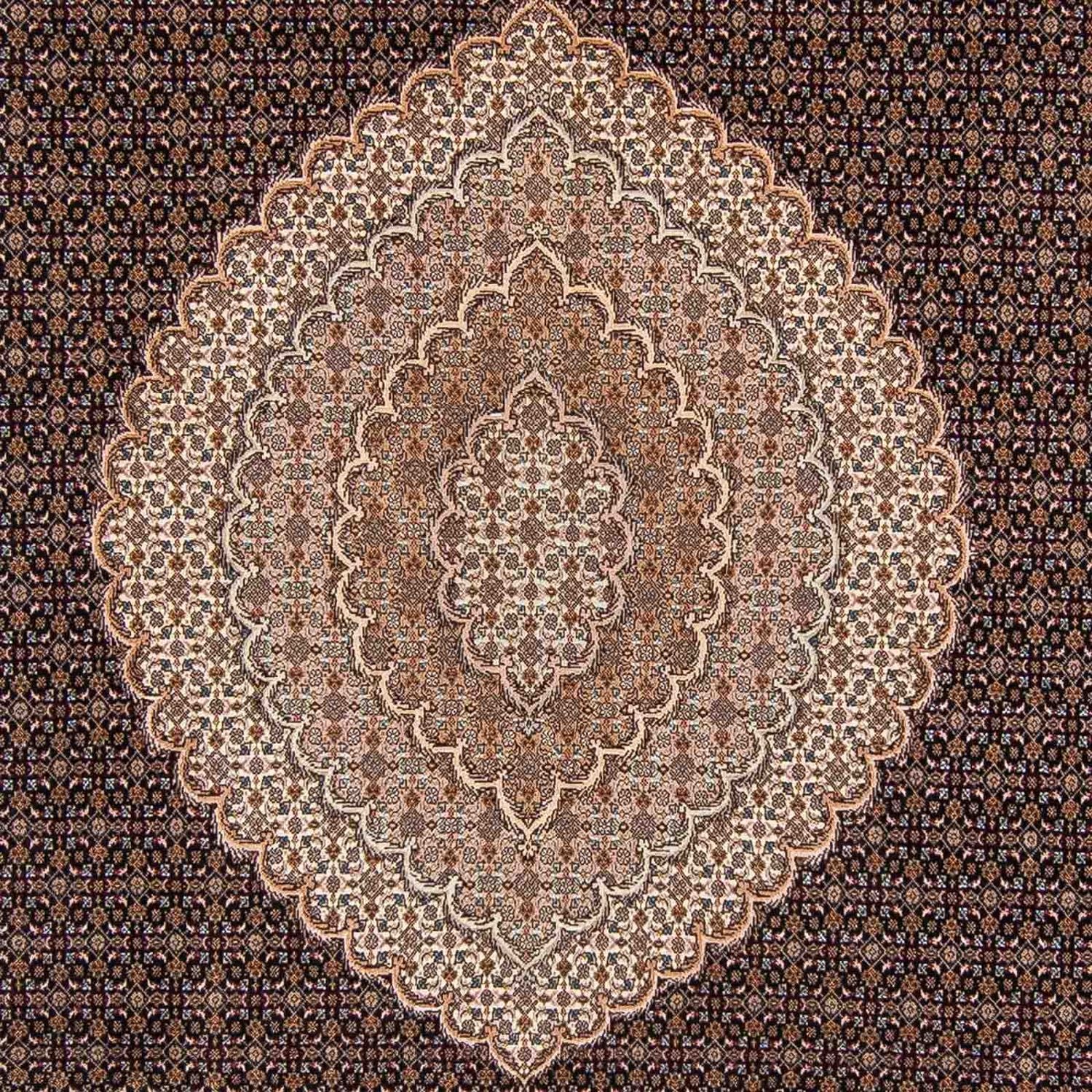 Persisk tæppe - Tabriz - 354 x 253 cm - lys brun
