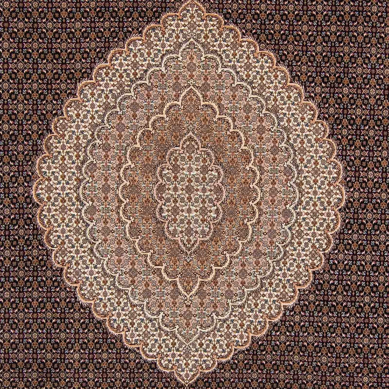 Persisk tæppe - Tabriz - 354 x 253 cm - lys brun