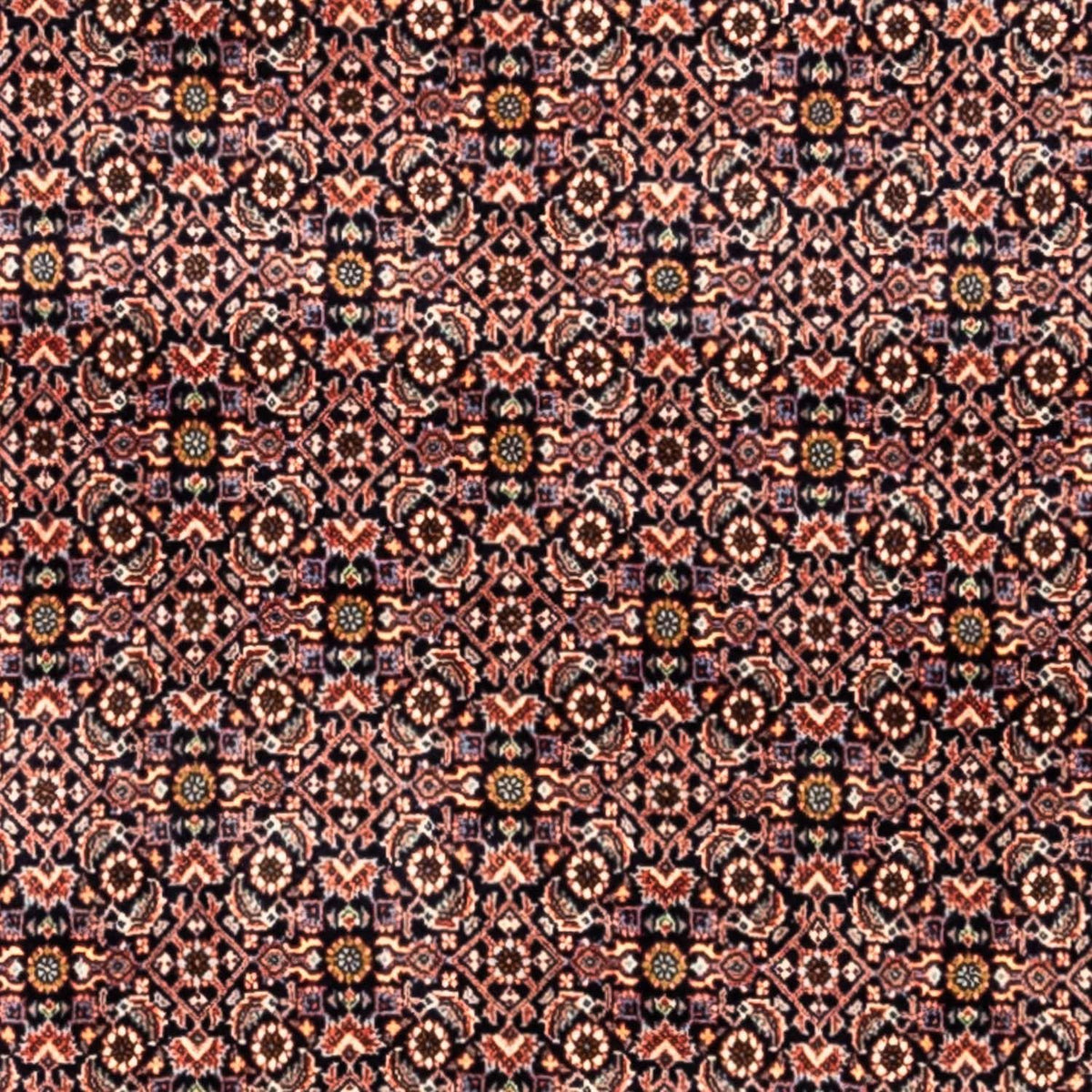 Persisk tæppe - Bijar - Royal - 341 x 259 cm - rust