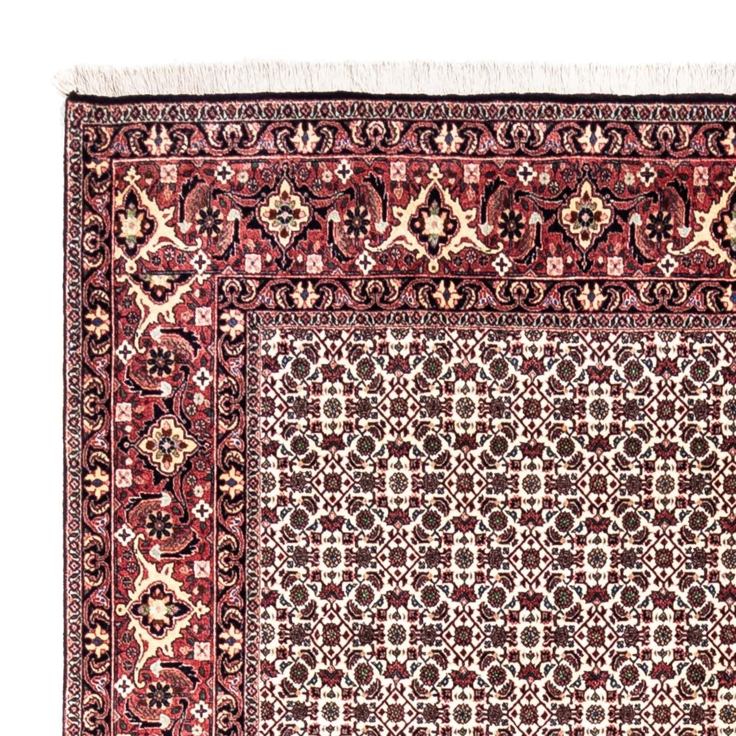 Persisk tæppe - Bijar - Royal - 296 x 204 cm - beige