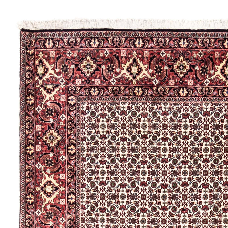 Persisk tæppe - Bijar - Royal - 296 x 204 cm - beige