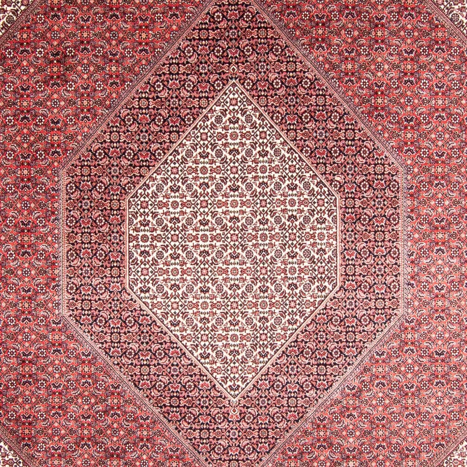 Persisk tæppe - Bijar - 355 x 248 cm - lysrød