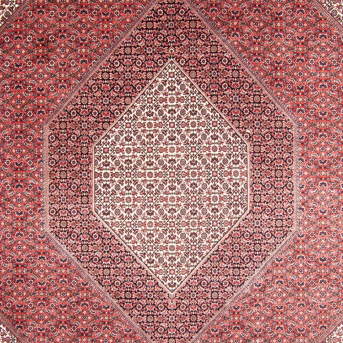 Persisk tæppe - Bijar - 355 x 248 cm - lysrød