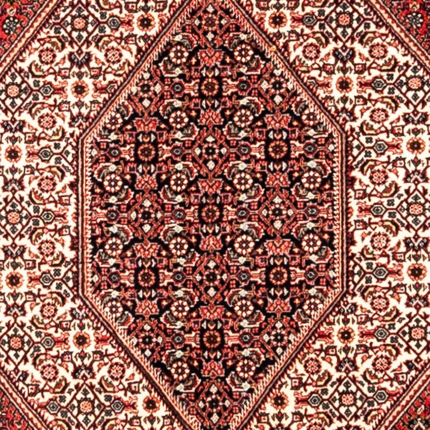 Persisk tæppe - Bijar - Royal - 285 x 195 cm - rød