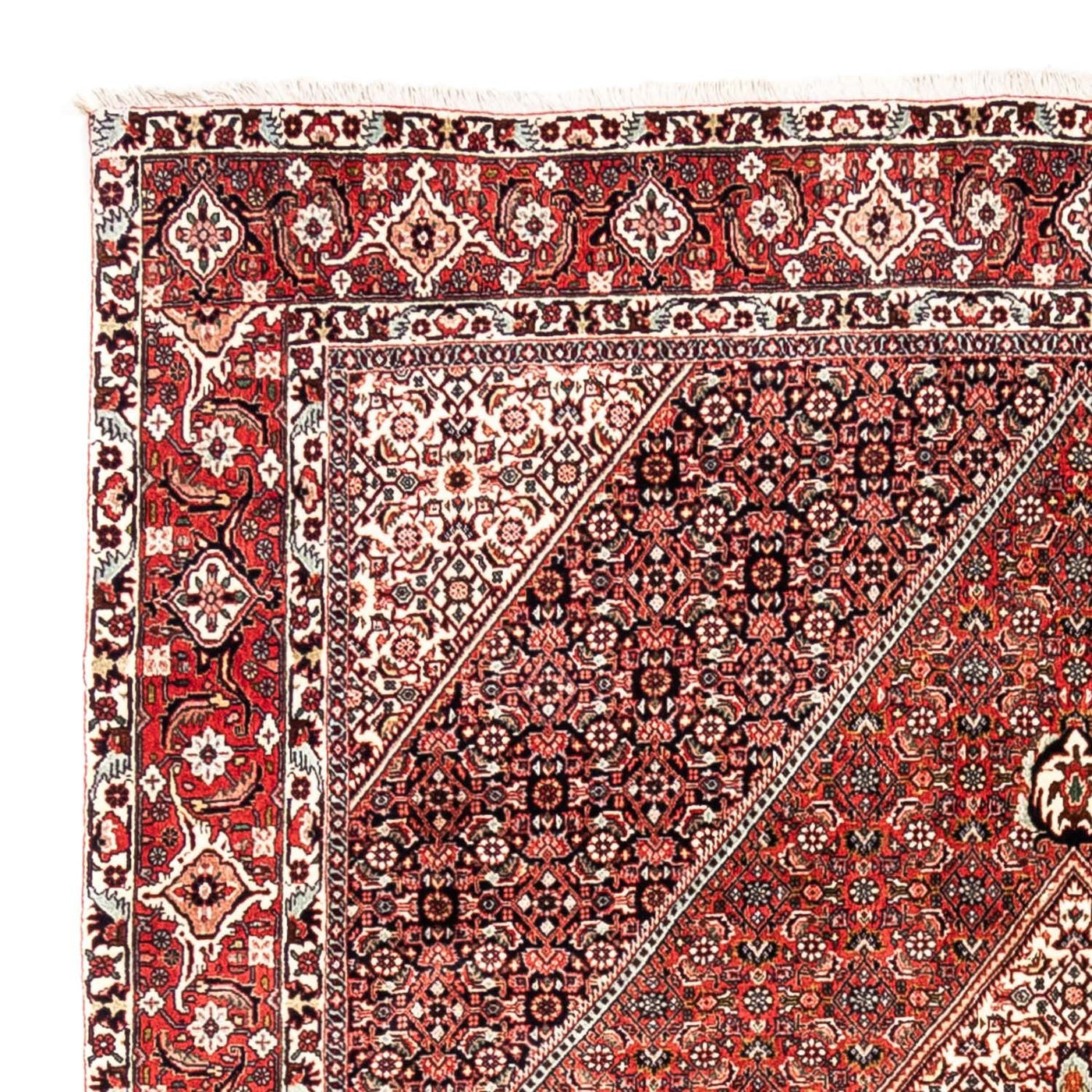Bidjar - Takab Tæppe 285x195cm - Persisk tæppe