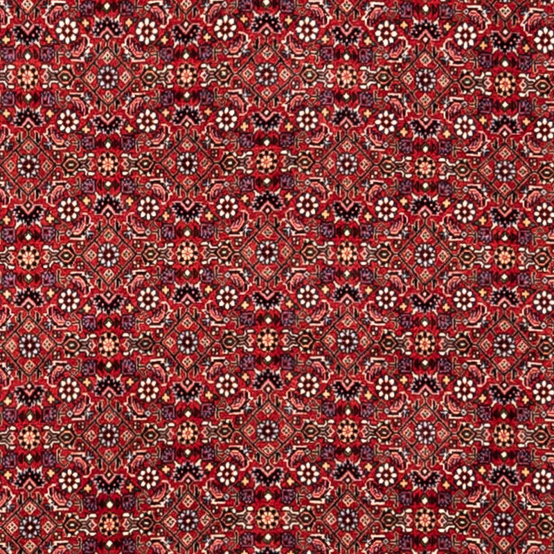 Persisk tæppe - Bijar - Royal - 340 x 252 cm - rød