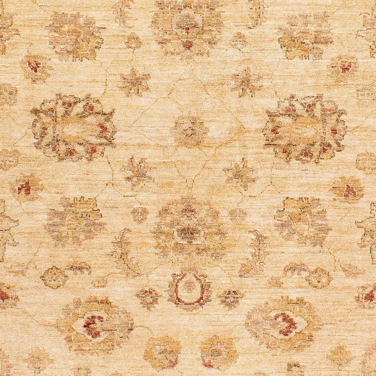 Ziegler Carpet - 229 x 168 cm - lys brun