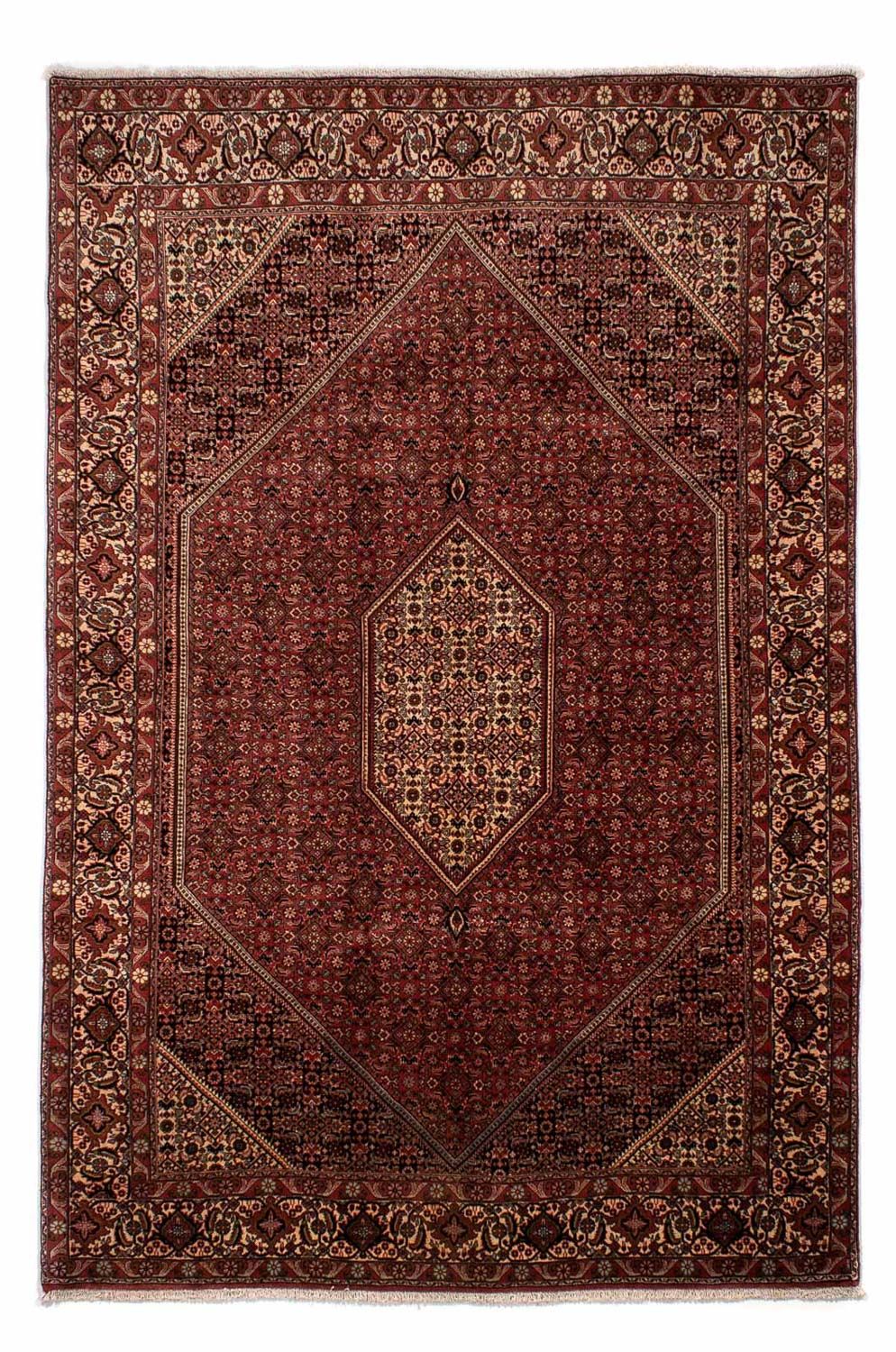 Persisk tæppe - Bijar - 293 x 200 cm - brun